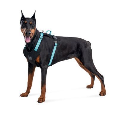 Шлейка нейлоновая для крупных собак Амуниция WAUDOG Nylon 65-85 см