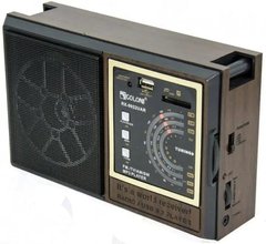 Портативний акумуляторний радіоприймач FM/AM Golon RX 9922