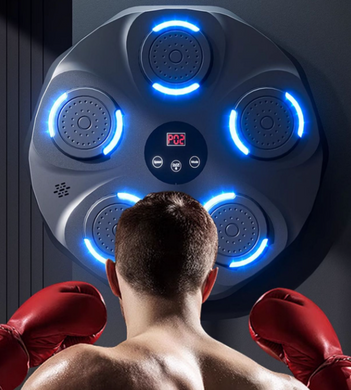 Тренажер боксерський музичний IMT Boxing