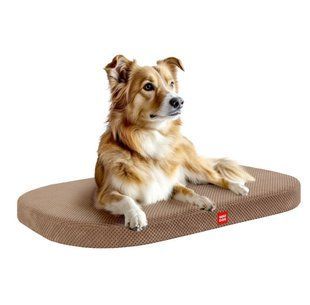 Лежак місце для собак зі знімним чохлом WAUDOG Relax 80х55 см